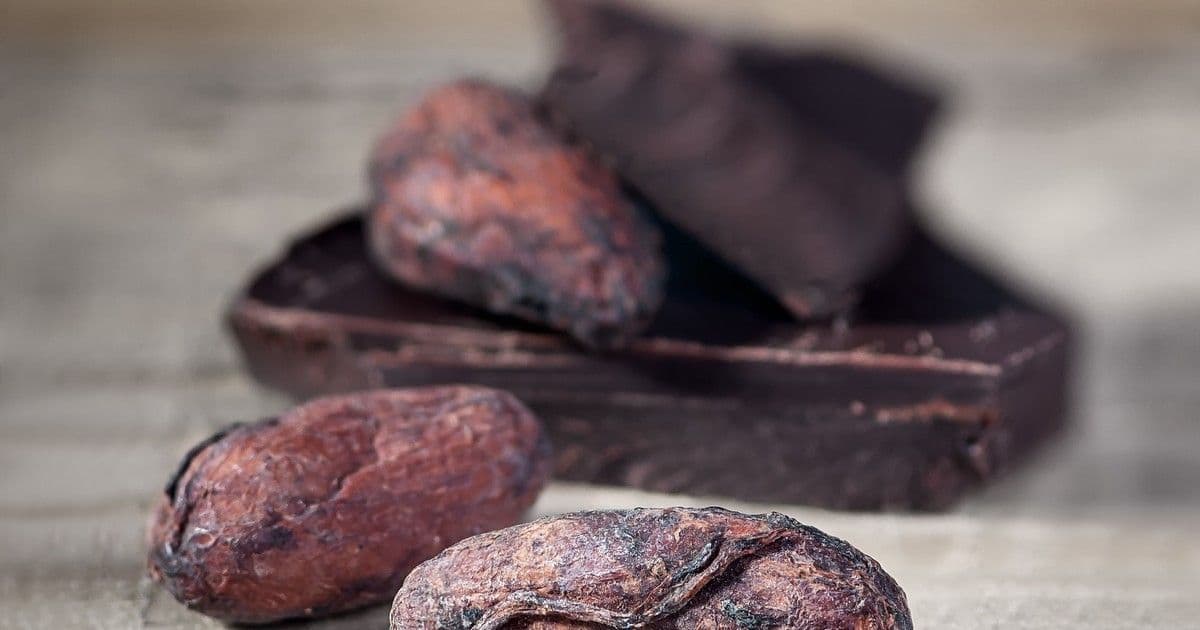 Agyfiatalító csoda: az étcsokoládé és áfonya titkos ereje