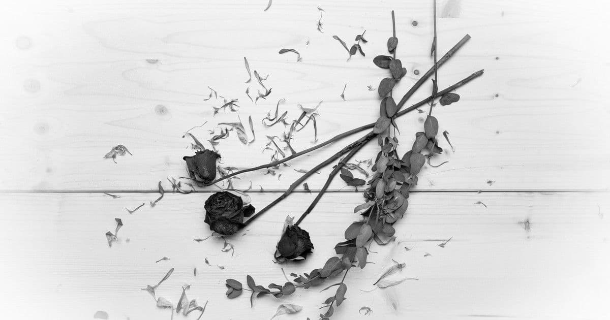 Robert Carradine tragikus végzete: a filmvilág gyászolja a fényt hozó színészt