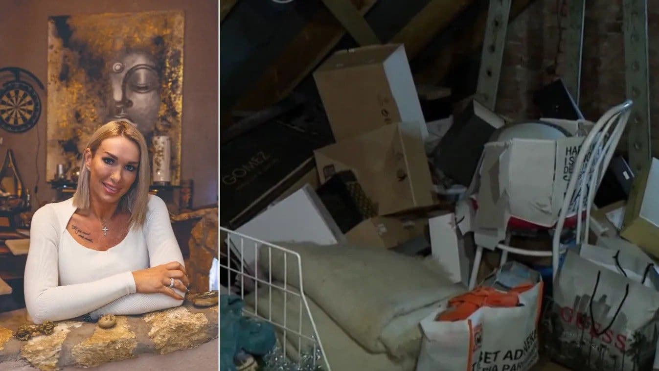 25 macska és a káosz: Molnár Anikó otthona az összeomlás szélén