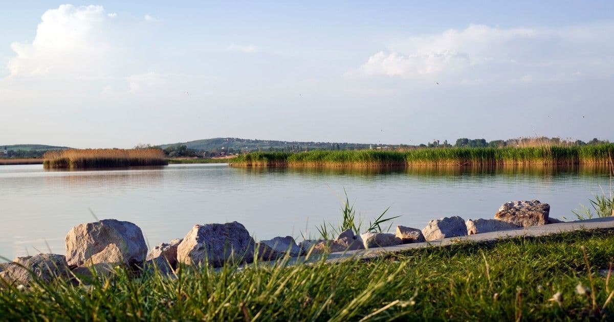 Velencei-tavi rémálom: vonatgázolás áldozata lett egy 63 éves nő