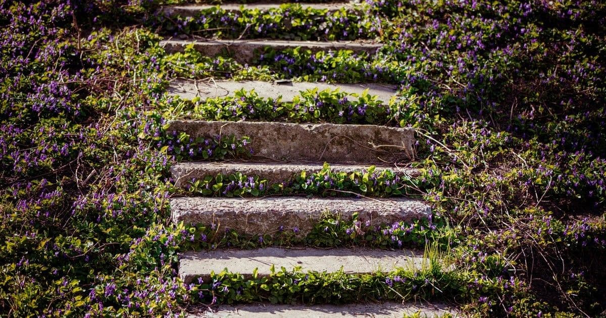 Prága titokzatos lépcsősora: Miért beszél róla az egész világ?