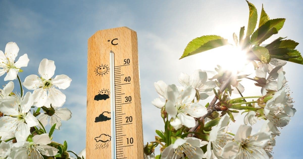 Elképesztő időjárási fordulat: 18 fokos tavaszi varázslat érkezik!