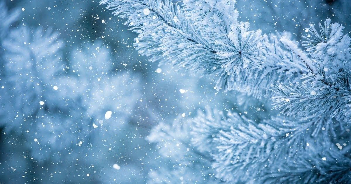 Március meglepetései: Tavaszi csodák a zord tél után!