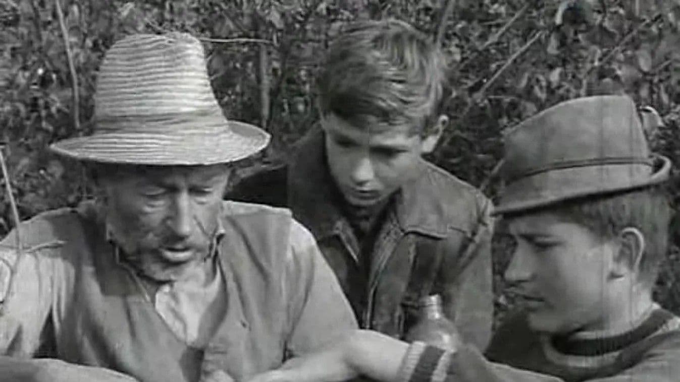 Tüskevár kvíz az igazán művelteknek – Ciki, ha ezen elbuksz