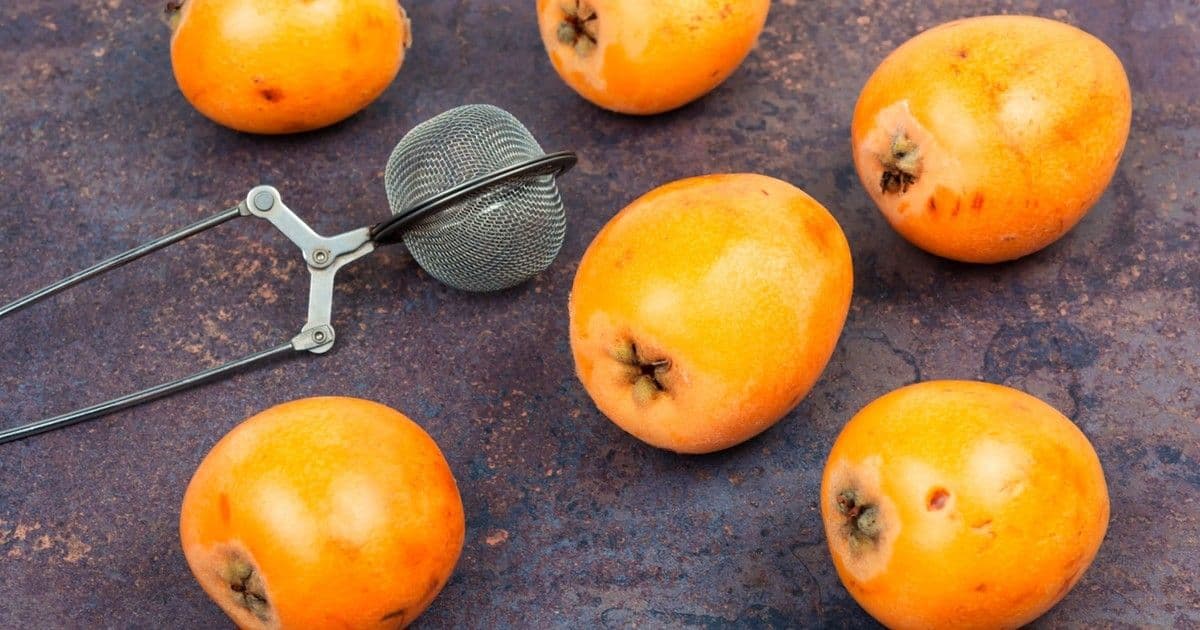 Fedezd fel a naspolya titkát: a szépség és egészség új csodája!