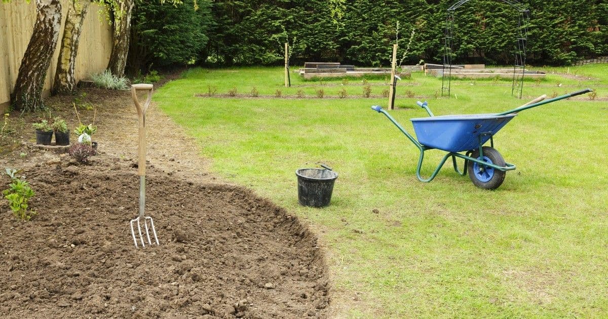 A vadkomló titka: a kert gyomja, ami Nyugat-Európában luxus