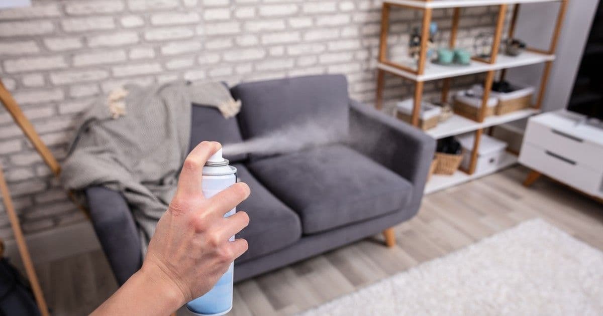 7 csepp, ami megváltoztatja otthonod illatát: Felejtsd el a légfrissítőket!