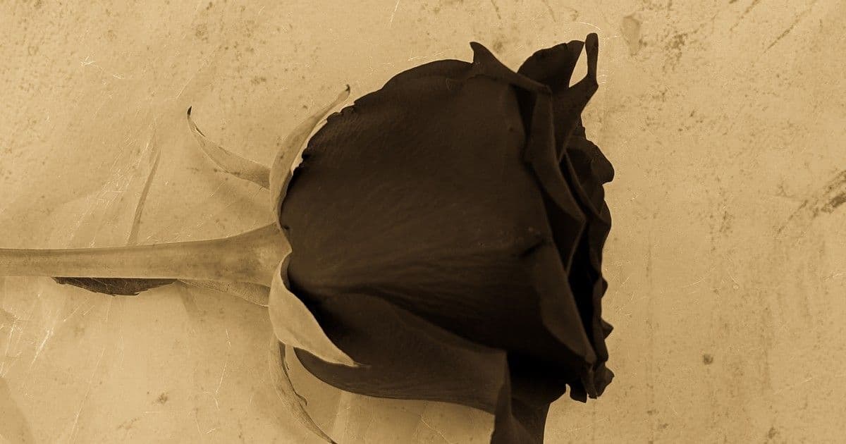 Rejtélyes fordulat: Egressy Mátyás eltűnésének döbbenetes végkifejlete