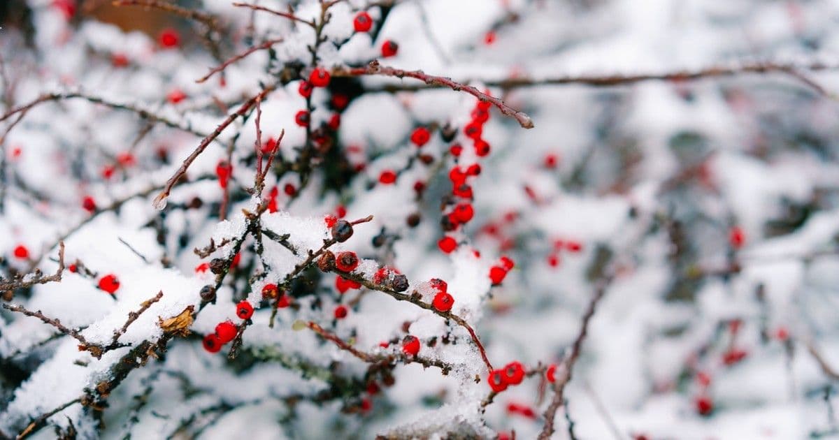 Hétvégi időjárás: Tavaszi csoda vár ránk, amit nem szabad kihagyni!