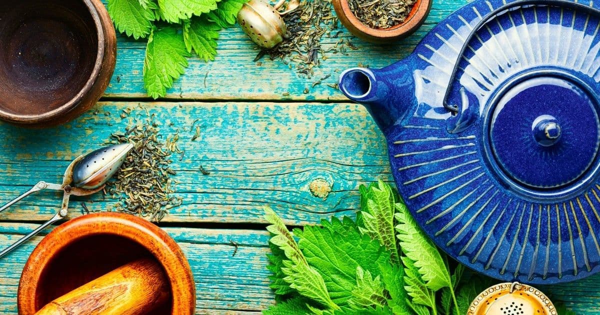 Csalántea: A mindennapi csodaital, ami új szintre emeli az egészséged