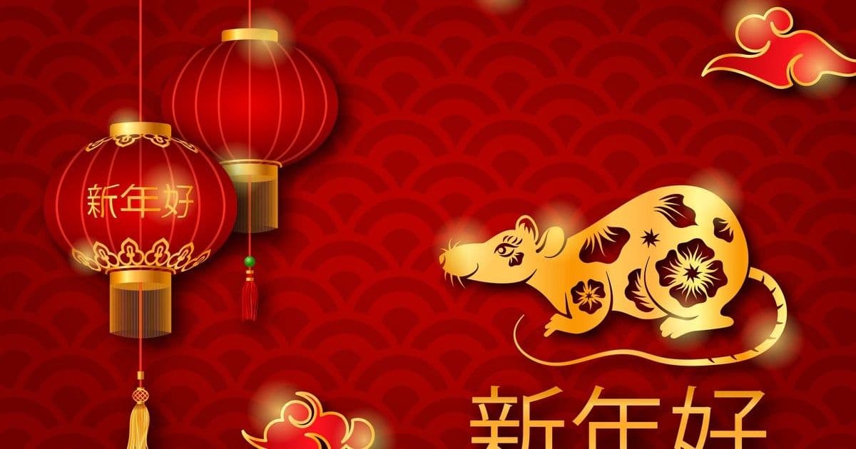 Patkányok, figyelem: Februárban a szerelem és karrier is próbára tesz!