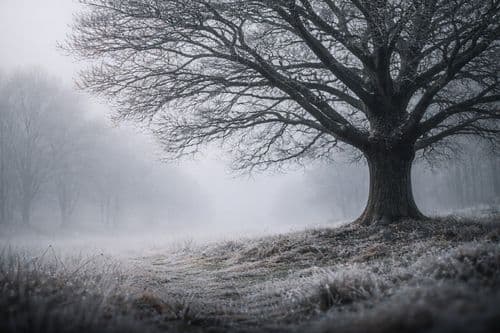 5 vármegye, ahol a köd uralja a decemberi napokat