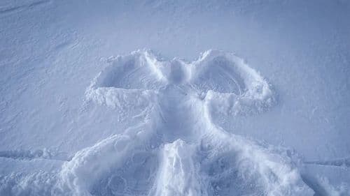 Decemberi angyali jóslatok: 3 csillagjegy, akikre különleges üzenetek várnak