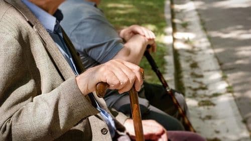 14. havi nyugdíj: Mikor érkezik a pénzeső az időseknek?